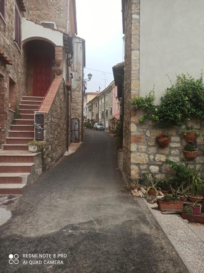Anita E Adele House Daire Pomaia Dış mekan fotoğraf